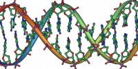 image: Jumping Genes a Cause of Cancer?
