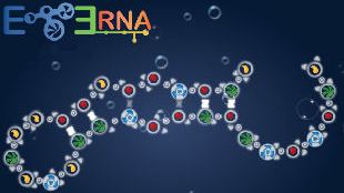 Toying with RNA image: Toying with RNA