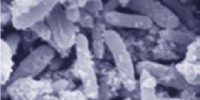image: Bacterial-Mineral Electrical Grids