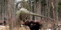image: Dinos Not Necessarily Cold-Blooded