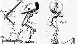 The Mechanical Body image: The Mechanical Body