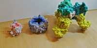 Three molecular models from Scripps Tangible Model ServiceAdam Gardner