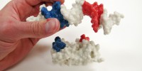 Model of the DNA-binding helix-turn-helix (HTH) motif.Adam Gardner