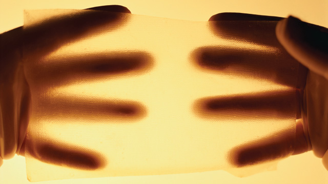 The Little Cell That Could image: The Little Cell That Could