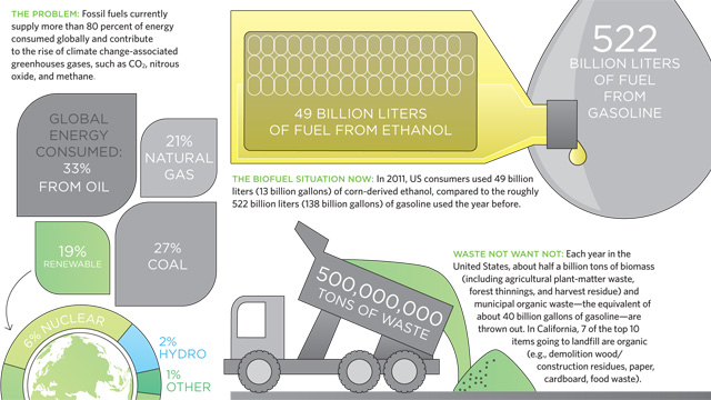 Biofuels by the Numbers image: Biofuels by the Numbers