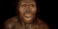 Meet the Relatives image: Meet the Relatives