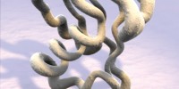 image: On the Chain Gang