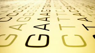 Filling in the Missing Letters image: Filling in the Missing Letters
