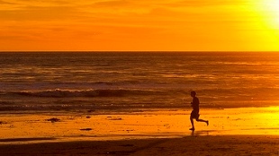 Wired to Run—and Think image: Wired to Run—and Think
