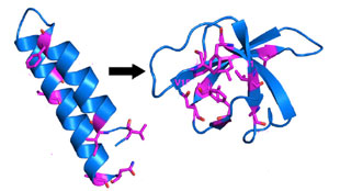 Transformer Protein image: Transformer Protein