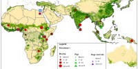Leptospirosis prevalence in community studiesINTERNATIONAL LIVESTOCK RESEARCH INSTITUTE