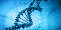 image: BGI Saves Genomics Technology
