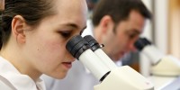 Researchers Katharine Harmon and Gareth Howell peering through microscopes at The Jackson Laboratories (#11)—the birthplace of JAX mice, the most published of mouse modelsJackson Laboratories
