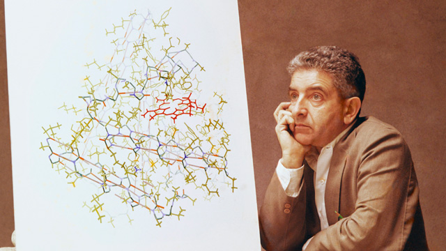 Irving Geis in l961 with the painting of myoglobin incomplete. Note the heme portion of the protein (in red) still lacks the oxygen molecule in its center.Illustrations, Irving Geis. Images from the Irving Geis Collection, Howard Hughes Medical Institute