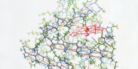 The final myoglobin illustration, as it appeared in the December 1961 issue of Scientific AmericanIllustrations, Irving Geis. Images from the Irving Geis Collection, Howard Hughes Medical Institute