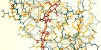 This watercolor painting of lysozyme and its substrate was commissioned by Scientific American to illustrate 