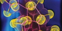 image: Lipids in the Spotlight