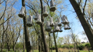 A Cloud for Bats image: A Cloud for Bats