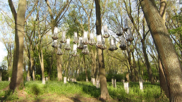 Designing Bat Homes image: Designing Bat Homes