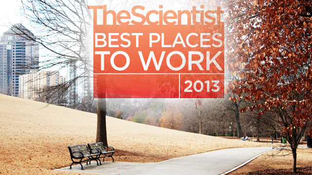Best Places to Work Surveys Open image: Best Places to Work Surveys Open