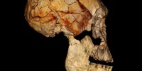 image: New Human Species Discovered