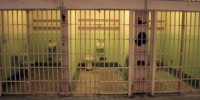 Better Forensic Science Needed image: Better Forensic Science Needed