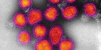 image: Flu Fights Dirty