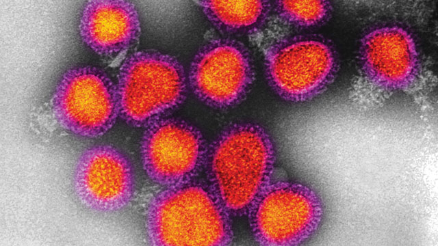Flu Fights Dirty image: Flu Fights Dirty