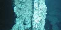 This sulfide structure is part of the 