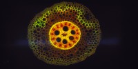 image: The Best of the 2012 Labbies