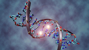 Pioneer DNA Researcher Dies image: Pioneer DNA Researcher Dies