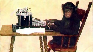 Monkey Brain Booster image: Monkey Brain Booster
