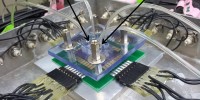 image: Next Generation: Nanowire Forest