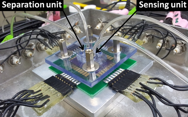 Next Generation: Nanowire Forest image: Next Generation: Nanowire Forest