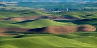 image: Agriculture-Ecology Initiative Announced