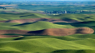 Agriculture-Ecology Initiative Announced image: Agriculture-Ecology Initiative Announced
