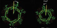 image: Next Generation: Breathing Nanotubes