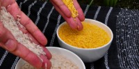 image: GM Rice Scandal?