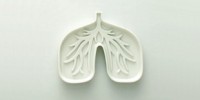 image: Cystic Fibrosis Alters Microbiome?
