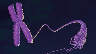 Infographic: The Epigenetic Lnc View full size JPG | PDF