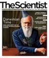 The Scientist January 2009 Cover