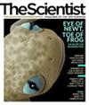 The Scientist August 2009 Cover
