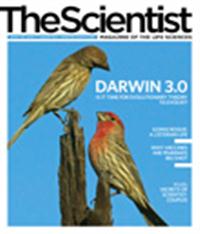 The Scientist January 2010 Cover