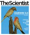 The Scientist January 2010 Cover