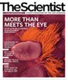 The Scientist July 2010 Cover