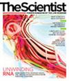 The Scientist September 2010 Cover