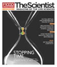 The Scientist October 2010 Cover