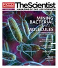 The Scientist January 2011 Cover