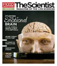 The Scientist February 2011 Cover
