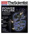 The Scientist May 2011 Cover